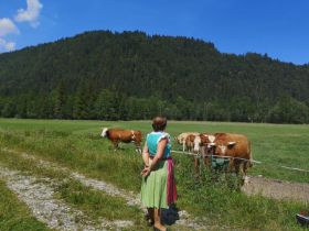 Dreh August 2020 4 (1).JPG